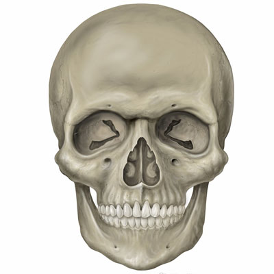 Cirurgia Crânio Maxilo Facial